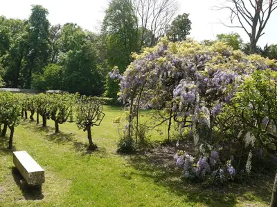 Jardin de l'établissement Maison du Chapelain