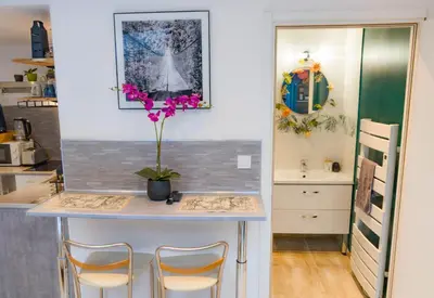 Cuisine ou kitchenette dans l'établissement Jungle Studio - 2P à 4P -Henriville