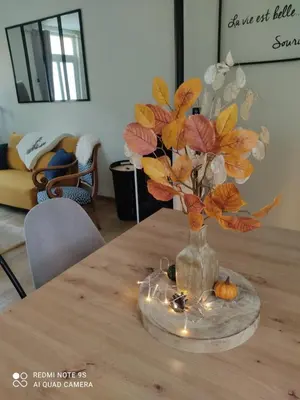 Coin salon dans l'établissement Le Cocon des Hortillonnages d'Amiens