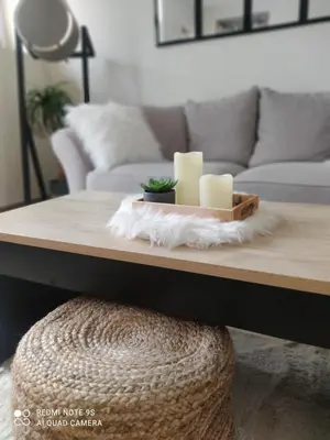 Coin salon dans l'établissement Le Cocon des Hortillonnages d'Amiens