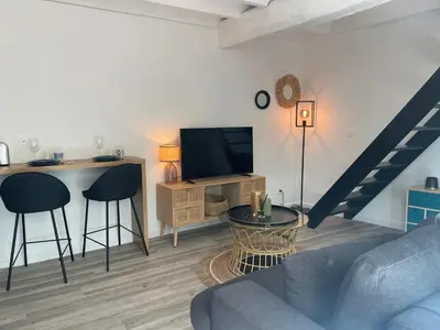 Télévision ou salle de divertissement dans l'établissement Le bleu de Senlis
