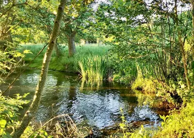 Paysage naturel près de la maison de vacances
