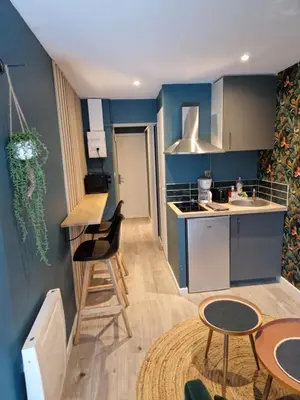 Cuisine ou kitchenette dans l'établissement Studio Eden Jacuzzi