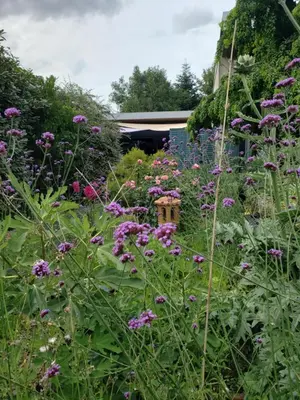 Jardin de l'établissement Gîte avec bain nordique dans la campagne brayonne pour 2 personnes