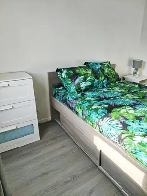 Un ou plusieurs lits dans un hébergement de l'établissement CHARMANT APPARTEMENT SUR SOTTEVILLES LES ROUEN