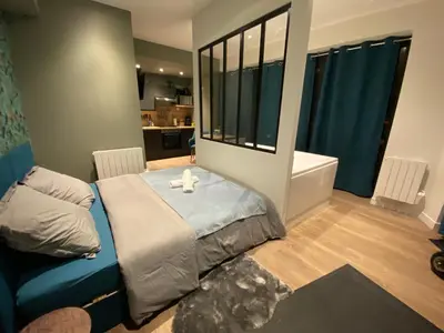 Un ou plusieurs lits dans un hébergement de l'établissement Studio avec baignoire balnéo centre de Rouen - 040