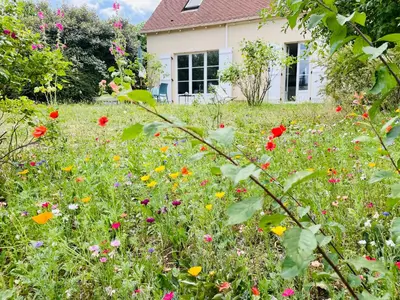 Jardin de l'établissement La Mandragora - Maison avec jardin et poêle à bois
