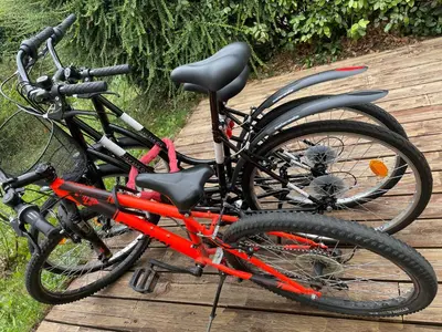 Vélo sur le terrain de l'établissement La Mandragora - Maison avec jardin et poêle à bois ou dans les environs