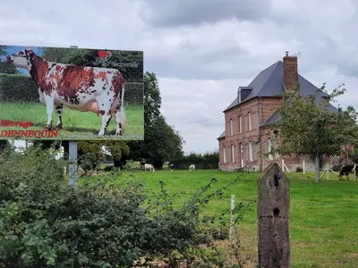 Jardin de l'établissement Chambre chez l'habitant 3