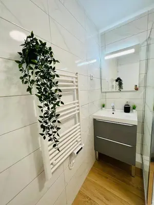 Salle de bains dans l'établissement Appartement luxueux et cosy