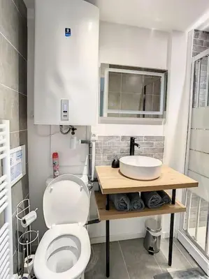 Salle de bains dans l'établissement SUPERBE STUDIO HYPER CENTRE TOUT ÉQUIPÉ WIFI NETFLIX 2PERS