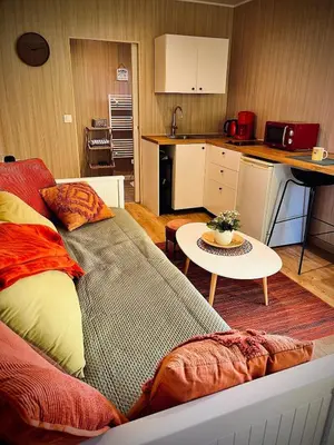 Cuisine ou kitchenette dans l'établissement Tiny housse à Poses