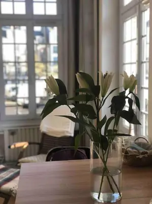 Plan de l'établissement Appartement lumineux au coeur de Dieppe