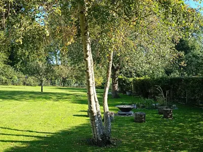 Jardin de l'établissement Le Petit Accent