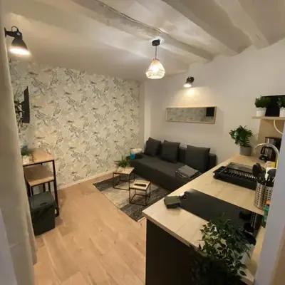 Studio entièrement refait a neuf - 170