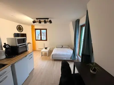 Cuisine ou kitchenette dans l'établissement Studio Vernon 31