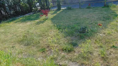 Jardin de l'établissement Les Pommerets