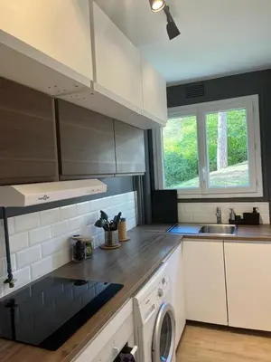Cuisine ou kitchenette dans l'établissement APPARTEMENT 190