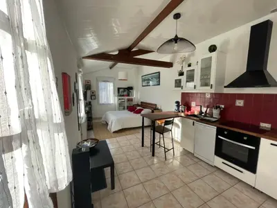 Cuisine ou kitchenette dans l'établissement L'Opaline-Maisonnette 28m2 grand confort avec jardin-tout inclus