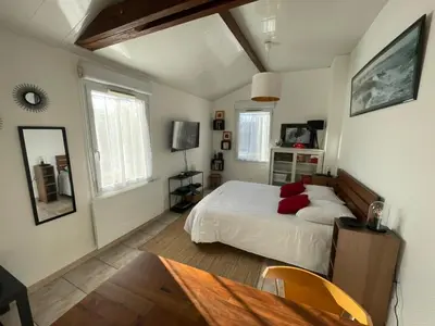 Télévision ou salle de divertissement dans l'établissement L'Opaline-Maisonnette 28m2 grand confort avec jardin-tout inclus