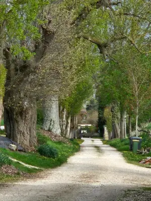 Jardin de l'établissement Chambre équipée Magnolia - 2 pers avec sdb wc privé
