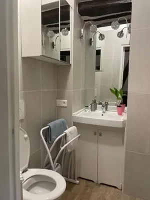 Salle de bains dans l'établissement Appartement Héritage - 1 chambre 4 personnes