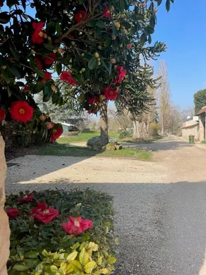 Jardin de l'établissement Appartement Héritage - 1 chambre 4 personnes