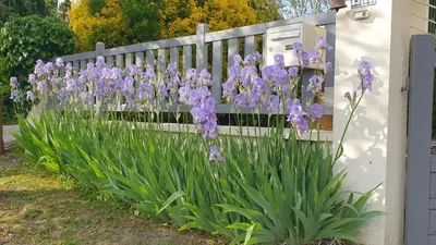 Jardin de l'établissement Maison lumineuse dans un cadre verdoyant