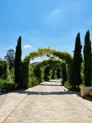 Jardin de l'établissement Orpheus Lodge