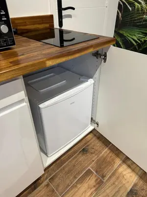 Cuisine ou kitchenette dans l'établissement Jungle room