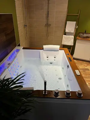 Salle de bains dans l'établissement Jungle room