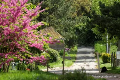 Jardin de l'établissement Gite du Centaure