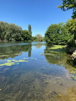 Paysage naturel près de le B&B/chambre d'hôtes