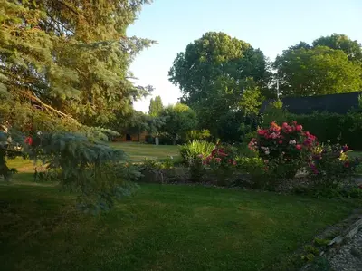 Jardin de l'établissement Les hortensias