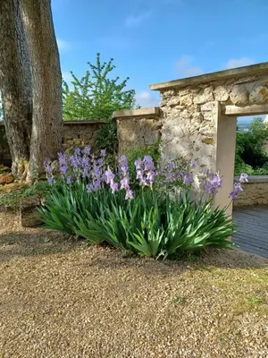 Jardin de l'établissement LE VERGER