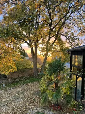Jardin de l'établissement LE VERGER