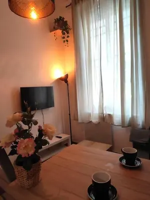 Télévision ou salle de divertissement dans l'établissement Studio atypique centre Rouen