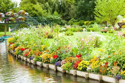 Jardin de l'établissement Chez Stéphanie au cœur d'Amiens